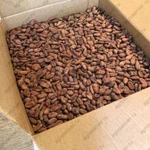 фото Какао-бобы сырые Сан-Томе (Амелонадо) / Урожай 2025 — живые, необжаренные, ферментированные