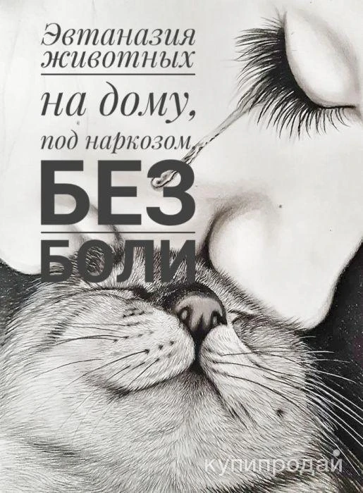 Фото Эвтаназия животных на дому