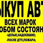 Автовыкуп-Помощь