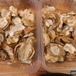 Фото №2 гриб Весёлка