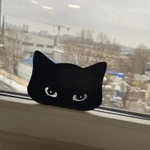 Фото №4 Подглядывающий кот в окно