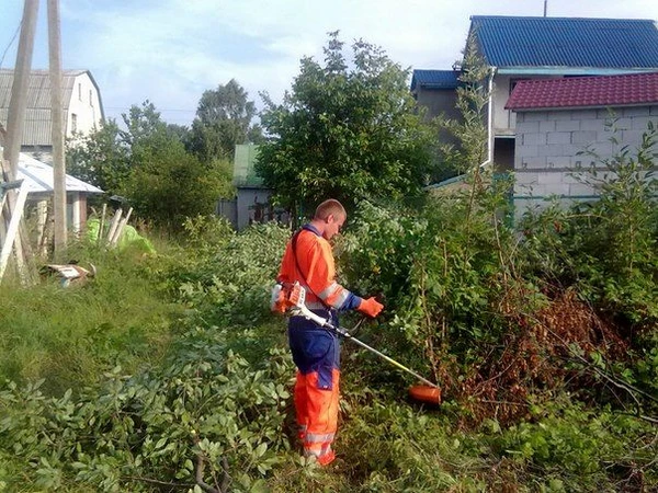 Фото Расчистка участка. Выполняем любой сложности работу 
