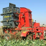 фото Свеклоуборочный комбайн HARMAK PHM 02 - FJB GROUP LLC