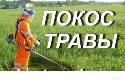 Фото Покос травы в Азове и Азовском районе
