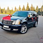 Фото №63 Свадебные машины, лимузины, микроавтобусы в Липецке