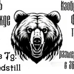 Создание и печать принта на одежде