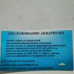 Обслуживание и оформление аквариума