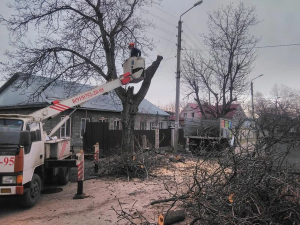 Фото Спил деревьев, вывоз +автовышка