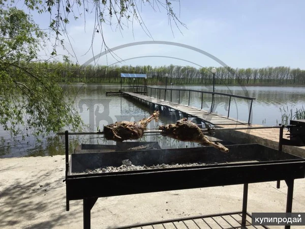 Фото Вертел для мангала с электроприводом