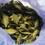 Фото №5 Листья сливы дикой. Цена за 50 грамм.