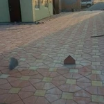 Фото №2 Укладка Тротуарных Камней в Свердловское области с
