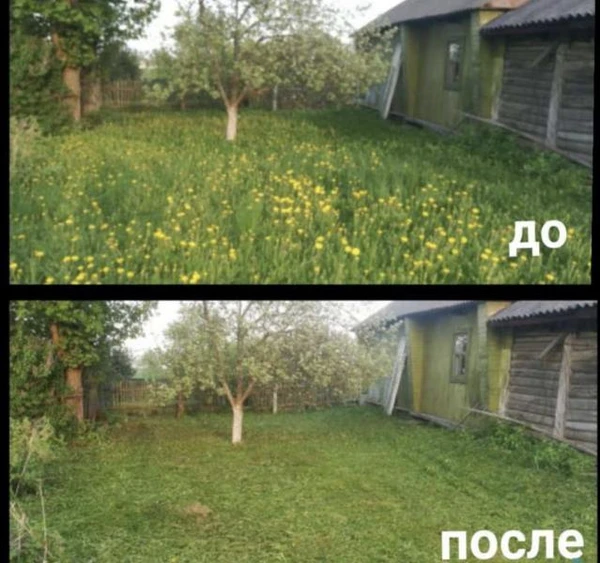 Фото Покос травы 