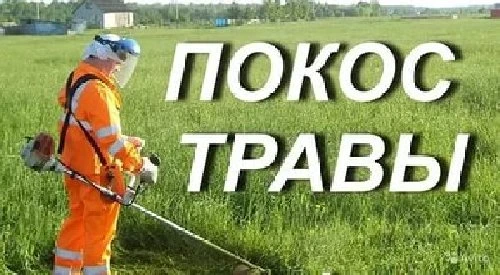 Фото Качественный покос травы