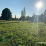 Фото №6 Продается земельный участок (Московская область)