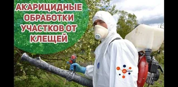 Фото Уничтожение Клещей, Тараканов,Клопов,Блох,Мышей