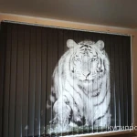 Фото №6 Жалюзи и рулонные шторы