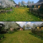 Фото №4 Покос травы
