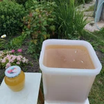 Фото №6 мед