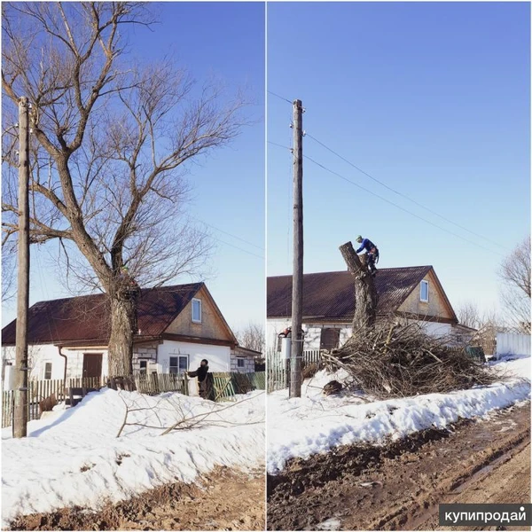 Фото Спил опасных деревьев Расчистка участка