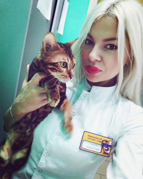 Фото Ветеринарный врач на дом 