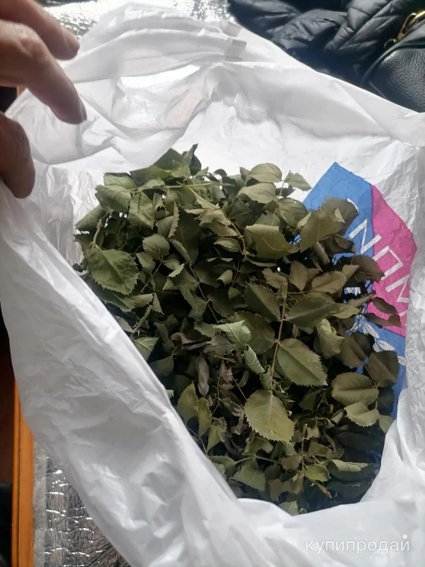 Фото Листья шиповника. Цена за 100 грамм.