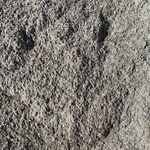 фото Песок дробленый фракции 0-4 мм