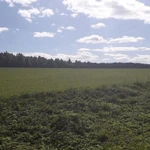 Фото №3 Продажа Участка с/х назначения, Нижегородская область, Сокольский р-н