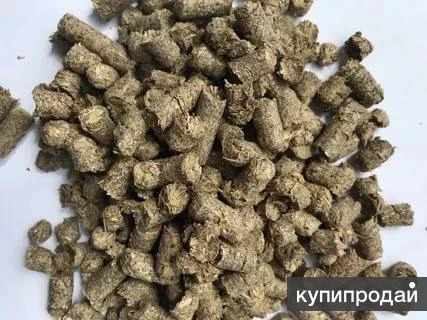 Фото Продам сухую пивную дробину