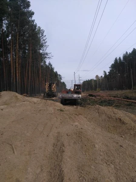 Фото Услуги валки леса. расширение лэп 