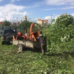 Фото №6 Спилить, удалить деревья, пни в Королеве