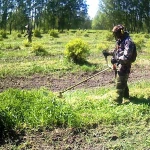 Покос травы в Самаре быстро и не дорого