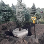 Фото №2 Требуется услуга манипулятора на смену