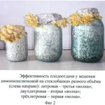 Фото №4 Опилки березовые