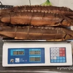 Фото №2 Стерлядь Горячего копчения.