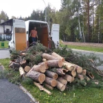 Вывоз деревьев в Пензе