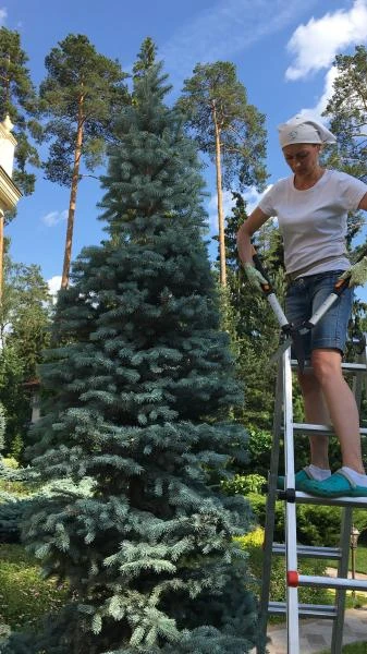 Фото Уход за садом