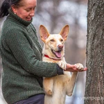 Фото №7 Щенок в добрые руки.