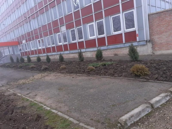 Фото Благоустройство Территории. Земельные работы. Армавир