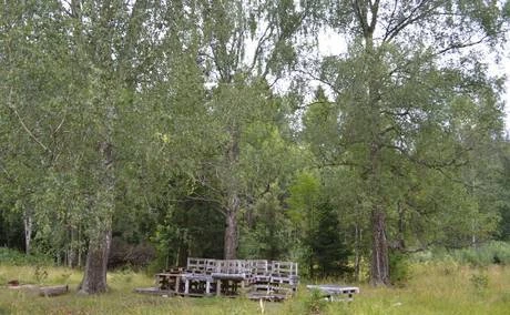 Фото Участок на Дмитровке, рядом с Сорочанами (горные лыжи).