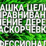 Вспашка целины, выравнивание, удаление деревьев