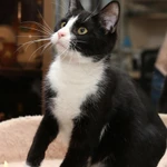 Фото №3 Гарик и Гошик