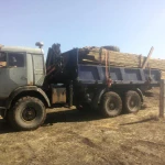 Фото №3 Манипулятор.манипулятор вездеход.ямобур