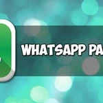 Рассылка в WhatsApp (Ватсап) по целевой аудитории