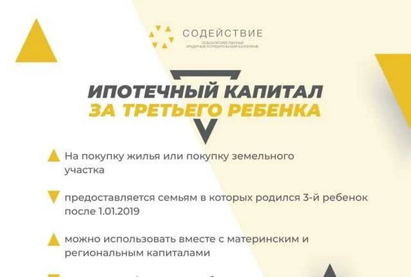 Фото Ипотечный капитал за третьего ребенка