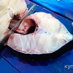 Фото №2 Осетр живой