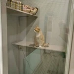 Фото №2 Гостиница для кошек