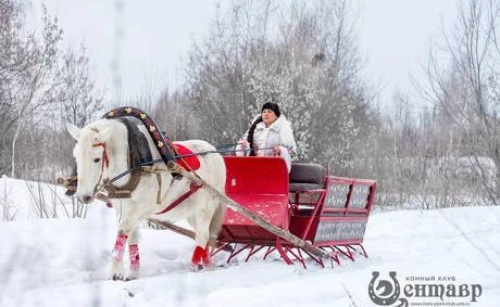 Фото Катание на санях