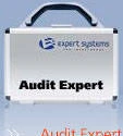 Фото Аналитическая система Audit Expert