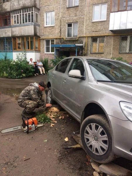 Фото Спил деревьев любой сложности