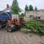 Измельчитель веток сдам в аренду